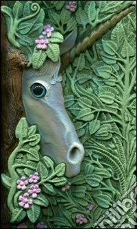 Il libro segreto degli unicorni libro