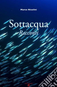 Sottacqua