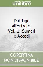 Dal Tigri all'Eufrate. Vol. 1: Sumeri e Accadi libro