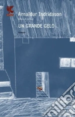Un grande gelo. I casi dell'ispettore Erlendur Sveinsson. Vol. 5 libro usato