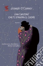 Una canzone che ti strappa il cuore libro