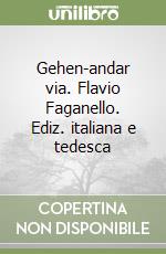 Gehen-andar via. Flavio Faganello. Ediz. italiana e tedesca libro