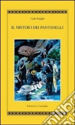 Il mistero dei pantanelli libro