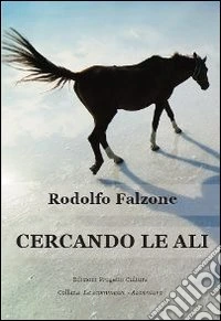 Cercando le ali libro