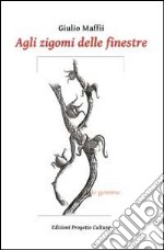 Agli zigomi delle finestre libro