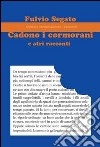 Cadono i cormorani e altri racconti libro di Segato Fulvio