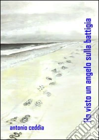 Ho visto un angelo sulla battigia libro