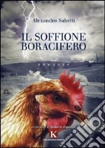 Il soffione boracifero