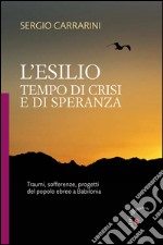 L'esilio. Tempo di crisi e di speranza. Traumi, sofferenze, progetti del popolo ebreo a Babilonia libro