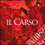 Il Carso. Ediz. illustrata libro