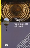 Napoli tra il Barocco e i Lumi libro