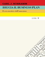 Brucia il business plan. Il vero mestiere dell'innovatore