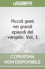 Piccoli gesti nei grandi episodi del vangelo. Vol. 1