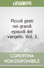 Piccoli gesti nei grandi episodi del vangelo. Vol. 1 libro