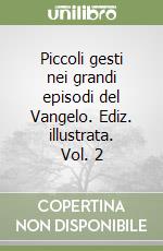 Piccoli gesti nei grandi episodi del Vangelo. Ediz. illustrata. Vol. 2 libro