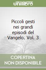 Piccoli gesti nei grandi episodi del Vangelo. Vol. 3 libro