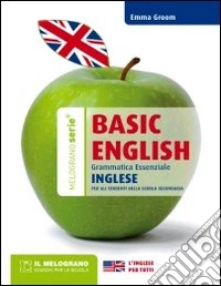 Basic english