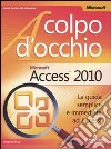 Microsoft Access 2010 libro