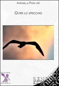 Oltre lo specchio libro