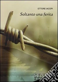 Soltanto una ferita libro