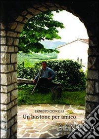 Un bastone per amico