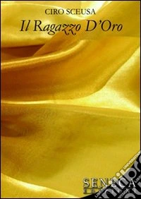 Il ragazzo d'oro libro
