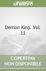 Demon King. Vol. 11