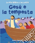 Gesù e la tempesta libro