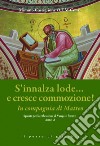 S'innalza lode... e cresce commozione! In compagnia di Matteo! Spunti per la riflessione al Vangelo festivo Anno A libro