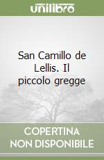 San Camillo de Lellis. Il piccolo gregge