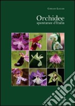 Orchidee spontanee d'Italia. Ediz. illustrata libro