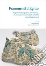 Frammenti d'Egitto. Progetti di catalogazione, provenienza, studio e valorizzazione delle antichità egizie ed egittizzandi libro