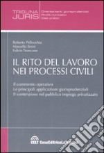 Il rito del lavoro nei processi civili libro