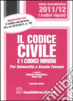 Il codice civile e i codici minori libro