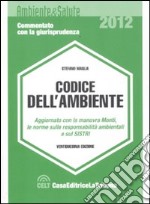 Il codice dell'ambiente libro