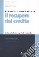 Il recupero del credito. Casi e soluzioni per privati e aziende libro