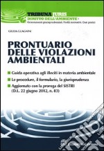 Prontuario delle violazioni ambientali