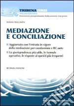 Mediazione e conciliazione libro