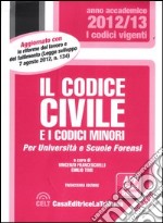 Il codice civile e i codici minori libro