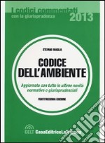 Codice dell'ambiente libro