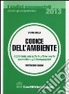 Codice dell'ambiente libro