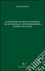 La protezione del diritto di proprietà nel sistema della convenzione europea dei diritti dell'uomo libro