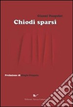 Chiodi sparsi libro