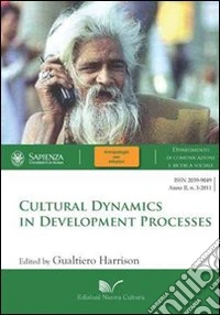 Cultural dynamics in development processes