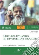 Cultural dynamics in development processes