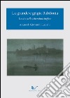 La grande e grigia Babilonia. Londra nella letteratura inglese libro