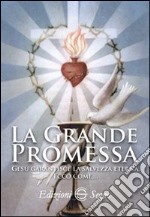 La grande promessa libro