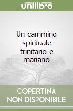 Un cammino spirituale trinitario e mariano libro