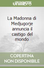 La Madonna di Medjugorje annuncia il castigo del mondo libro