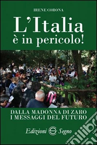 L'Italia è in pericolo! libro